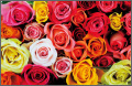 High Contrast Ratio for realistic images