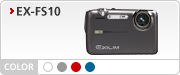 EX-FS10