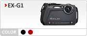 EX-H10