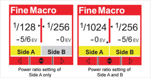 Mf18_finemacro_eng